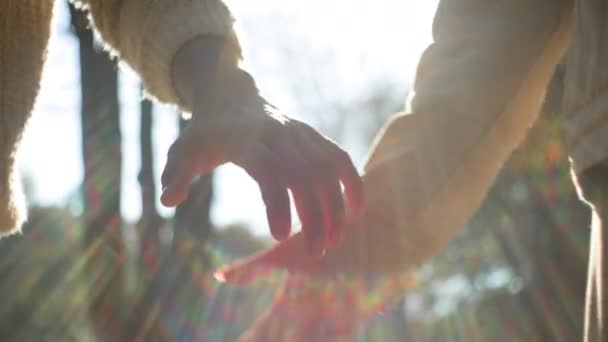 Close Irreconhecível Multiétnico Casal Familiar Amor Segurando Mãos Luz Solar — Vídeo de Stock