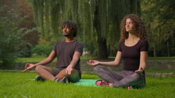 瑜珈禅师白种人阿拉伯男子在晨曦中自然宁静的健康冥想多种族夫妇训练精神专注的能量户外运动练习莲花在城市公园里休息 — 图库视频影像