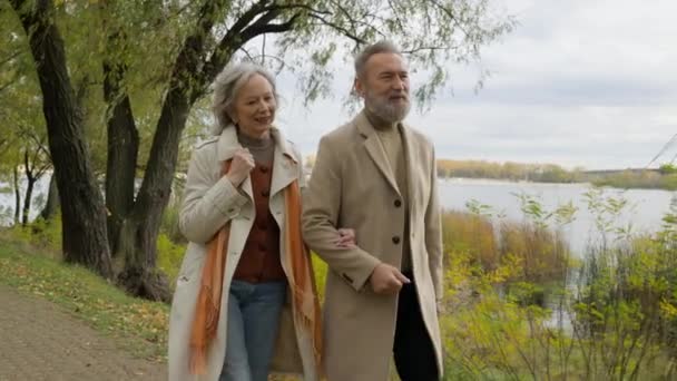 中年の結婚したカップル灰色の髪の妻の夫は 秋の公園でロマンチックな散歩を一緒に歩いているエレガントなアウターウェアで カフカシアの家族成熟した女性大人が街で話し 落ち着いた退職 — ストック動画