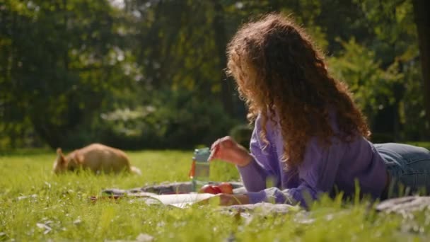 コーカサス 笑顔の少女の遺伝子 学生読書 森の都市公園のレジャー週末 かわいい小さな子犬コルギ犬が自然幸せなペットの飼い主の女性は 屋外で休む文学を読みました — ストック動画