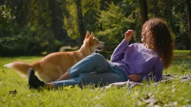 Bayan Hayvan Sahibi Hayvan Terbiyecisi Çimen Parkında Mutlu Bir Köpek — Stok video