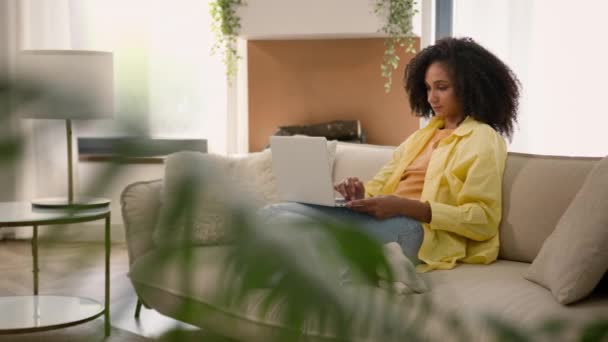 アフリカ系アメリカ人女性ビジネスウーマンフリーランサー 快適な家庭のソファーで働く 若い20代女性 ラップトップコンピュータで勉強するオンラインチャット 遠隔ビジネス — ストック動画
