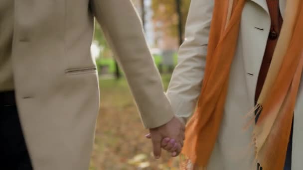 一对退休的男性女性牵着手在秋天的自然公园里散步白种人60多岁的女性快乐的家庭牵着胳膊在户外散步柔情似水的关系支持着老年时的爱情一起去城市 — 图库视频影像