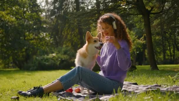 잔디에서 웨일스어 코르기 놀라운 재생하는 코카서스 행복한 즐거운 소녀는 피크닉 — 비디오
