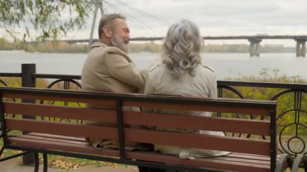 バックビュー古い結婚したカップルロマンチックな瞬間男は 公園のベンチに女性を抱擁する幸せな家族の灰色のインテリジェントな男性の女性は 自然の街の外で一緒に休日を抱擁する愛 — ストック動画