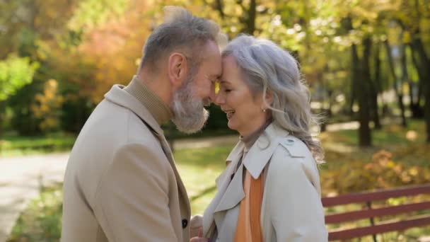在公园里温柔地拥抱幸福的微笑的已婚夫妇年长的丈夫成熟的妻子爱抚着额头浪漫的爱情老人灰发的男人女人退休的男性女人在大自然的城市里享受着拥抱 — 图库视频影像