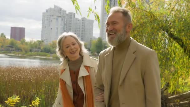 快乐的家庭白种人已婚夫妇年长的伴侣笑容满面的女人男人漫步在城市公园里无忧无虑的丈夫妻子退休了六十岁的女祖父母外出散步 — 图库视频影像