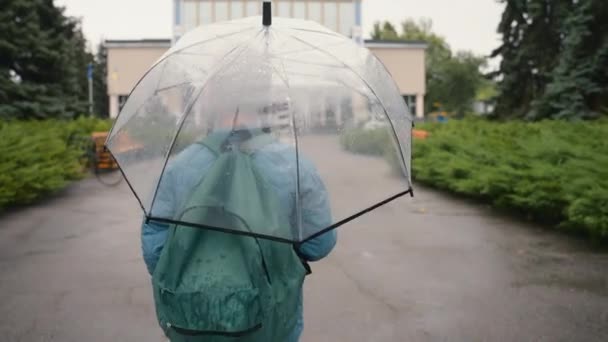 バックビュー 小さな女の子ウォーキングは 傘の雨の天候を保持し 認識できない季節の雨の秋の子供だけ公園の街外 新鮮な空気健康的なレジャーの散歩の保護運動をオーバーキャストドロップ — ストック動画