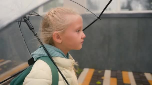 サイドビュー小さなヨーロッパの少女は 傘の雨の外の街を歩いている小さなヨーロッパの少女は 新鮮な気象を散歩穏やかな学習者女子リラクゼーション子供の生徒のレジャー無邪気なムーブメント都市週末 — ストック動画