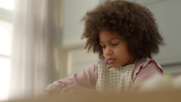 Cute Little African American Girl Fartuchu Adoptowane Dziecko Etniczne Córka — Wideo stockowe