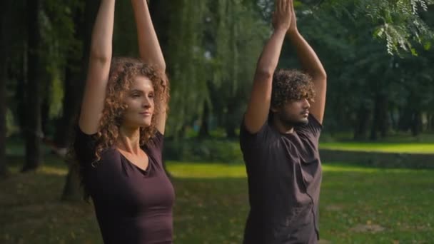 健康运动员印度男子白人女子体育夫妇户外运动不同种族的男孩在城市公园里练习瑜伽身体平衡练习举手表决姿势 — 图库视频影像