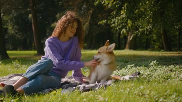귀여운 Welsh Corgi 야외에서 코카서스 소녀와 소유자 친화적 스트로킹 강아지 — 비디오