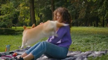 Köpek sahibi mutlu beyaz kız gülerek Galli Corgi ile oynuyor aktif oyuncu köpek yavrusu çimlere atlayıp elma yakalamaya çalışıyor kadın eğitmen Park 'ta yaz tatilinde enerjik bir hayvan yetiştiriyor.