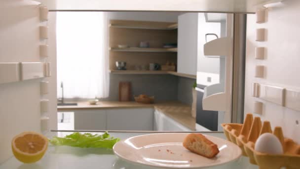 냉장고에서 Pov 코카서스 소유자 냉장고 끔찍한 메스꺼움 샐러드 — 비디오