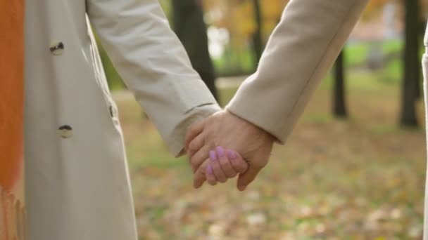 亲密情侣手牵手在户外公园散步成熟的 难以辨认的伴侣男性祖父母手牵着皱巴巴的手团结的关系结合着家庭中的女性老年男人的爱情 — 图库视频影像