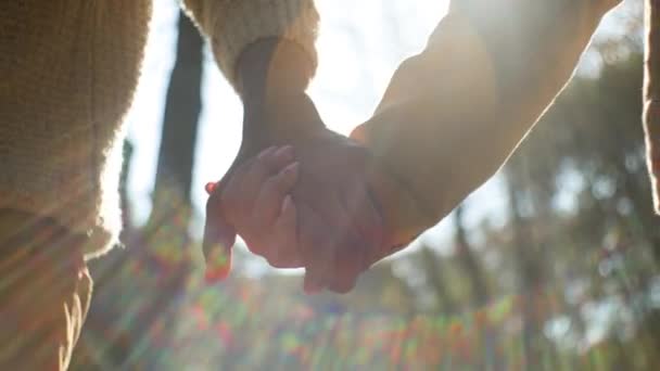 Närbild Oigenkännligt Par Kärlek Man Kvinna Hålla Händer Solljus Promenader — Stockvideo