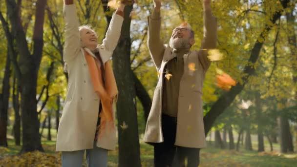 Mutlu Aile Yaşlı Çift Komik Komik Çılgın Iki Büyükanne Büyükbaba — Stok video