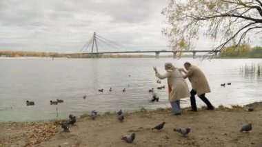 Mutlu emekli çift, Kafkasyalı olgun kadın, parkta nehirde kuşları besleyen yaşlı kadın, komik kadın, erkek güvercin kovalayan eğlenceli eğlence, hafta sonları birlikte oynaşıp eğleniyorlar.