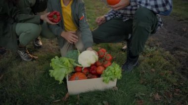 Sağlıklı, mutlu, Kafkasyalı, çiftçi, kadın, kadın, anne, baba, erkek, oğlan, oğlan, çocuk, sebze, ekin, tarım, tarım.