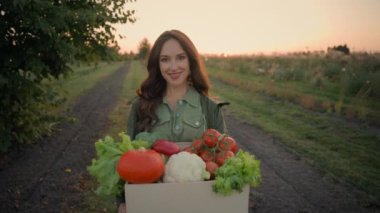 Genç mutlu beyaz kadın kadın çiftçinin portresi. Gün batımında yeni toplanmış farklı sebze kutuları taşır. Tarım sektöründe sağlıklı beslenme hasadı