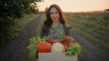 Genç mutlu beyaz kadın kadın çiftçinin portresi. Gün batımında yeni toplanmış farklı sebze kutuları taşır. Tarım sektöründe sağlıklı beslenme hasadı