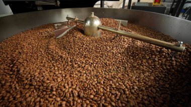 Taze kavrulmuş kahve çekirdekleri büyük endüstriyel karıştırıcı makinede soğutuluyor modern fabrikada aromatik kahverengi tanecikler karıştırılıyor kakao kızartılıyor ekipman üretim sürecinin yakın görüntüsü