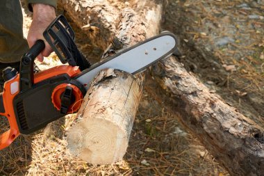 Elektrikli testere tutan erkek eller, kalın bir kütüğü keserken görüldü. 