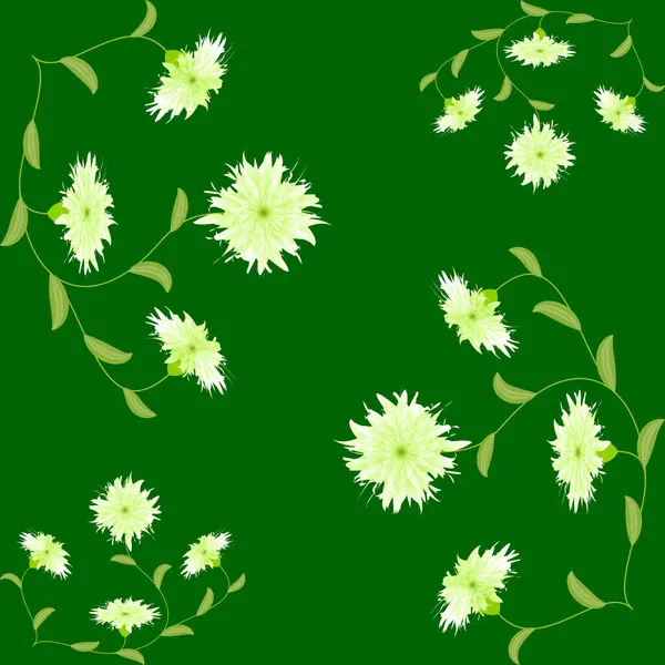Güzel beyaz renkli kasımpatı çiçekleri çiftçi bahçesinden alınmış gerbera çiçekleri.