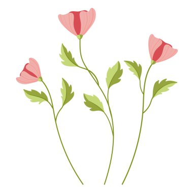 Beyaz arka planda yeşil yaprakları olan bir sapta güzel pembe çiçekler. Yaz ve bahar çiçekleri. Vektör çizimi. Poster, kart, logo, etiket, yazdırma için çiçek kırpma.