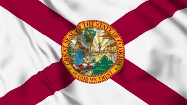 Florida Eyaleti Bayrak Döngüsü 4K