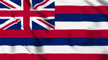 Hawaii Eyaleti Bayrak Döngüsü 4K