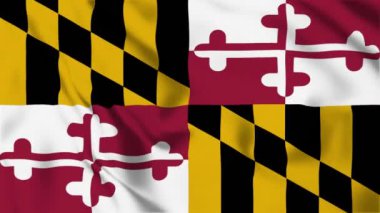 Maryland Eyaleti Bayrak Döngüsü 4K