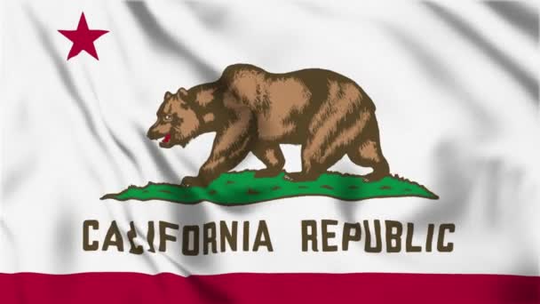 California State Flag Loop — Stock Video