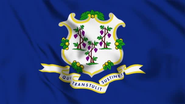 Connecticut State Flag Loop — Vídeo de stock