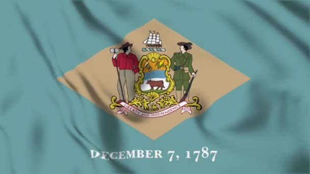 Delaware State Flag Loop — Stock Video