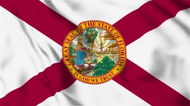 Pętla Flagi Stanu Floryda — Wideo stockowe