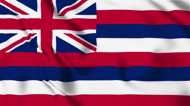 Hawaii State Flag Loop — стокове відео