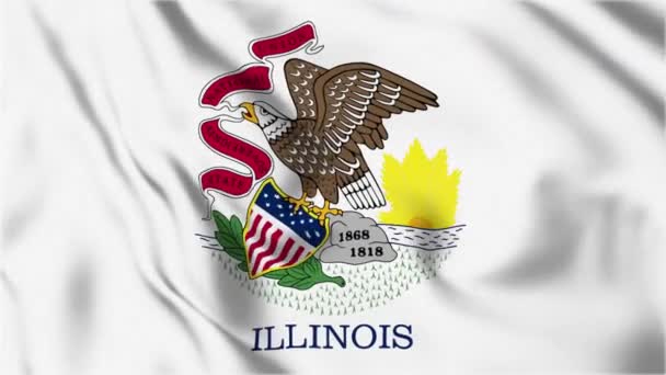 Laço Bandeira Estado Illinois — Vídeo de Stock