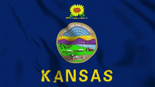 Kansas State Flag Loop — Stockvideo