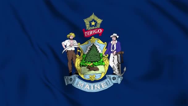 Maine State Flag Loop — стокове відео