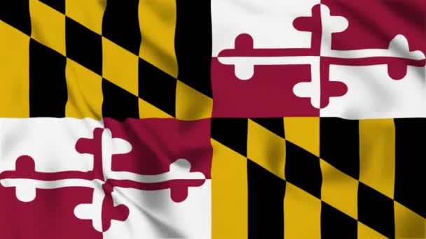 Maryland State Flag Loop — Stock Video
