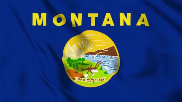 Montana State Flag Loop — Stock Video