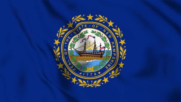 New Hampshire State Flag Loop — стокове відео