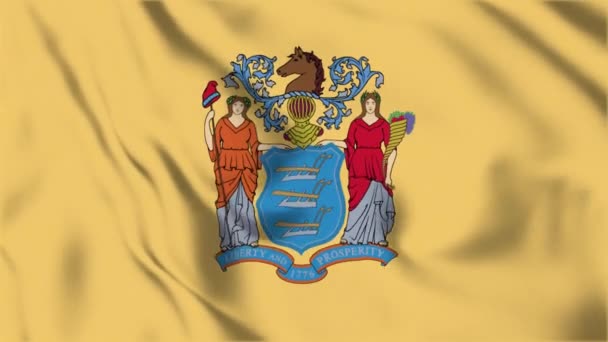 New Jersey State Flag Loop — Stock video