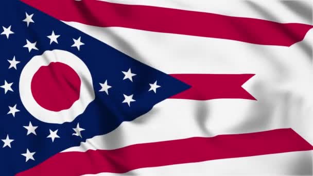 Ohio State Flag Loop — Stockvideo