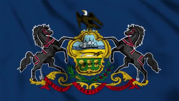 Pennsylvania State Flag Loop — Stockvideo