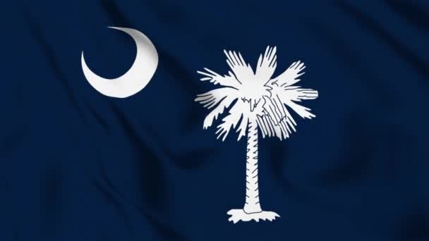 South Carolina State Flag Loop — Vídeo de Stock