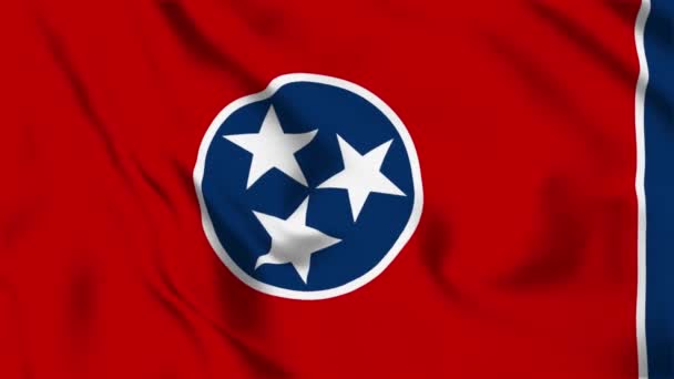 Tennessee State Flag Loop — Vídeo de Stock