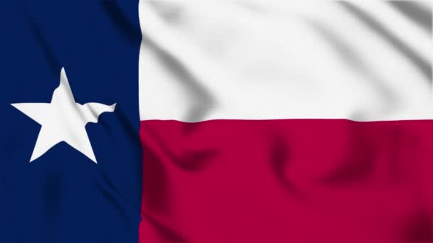 Texas State Flag Loop — Stock Video