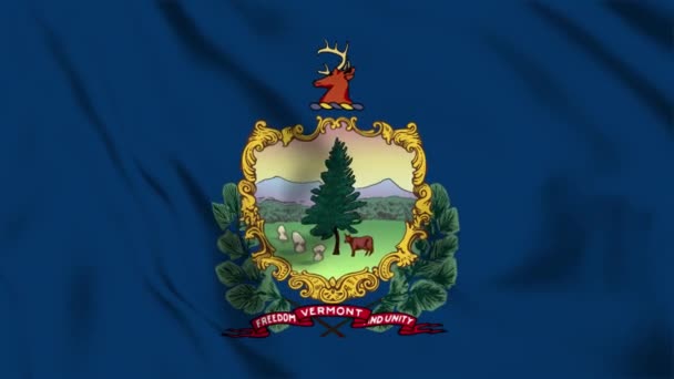 Vermont State Flag Loop — Stockvideo